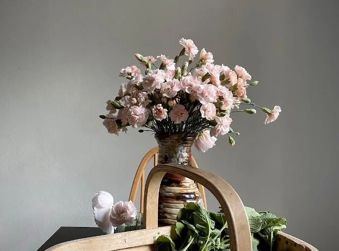 The House Bed and breakfast 3*